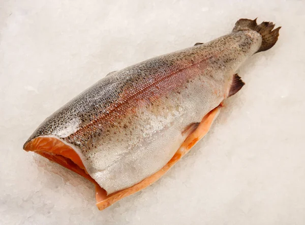 Poisson Rouge Frais Sur Glace Saumon Truite Tranches Steak — Photo