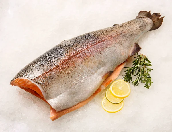 Peixe Vermelho Fresco Gelo Salmão Truta Fatias Bife — Fotografia de Stock