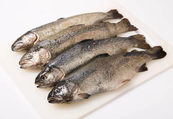 Peixe Vermelho Fresco Gelo Salmão Truta Fatias Bife — Fotografia de Stock