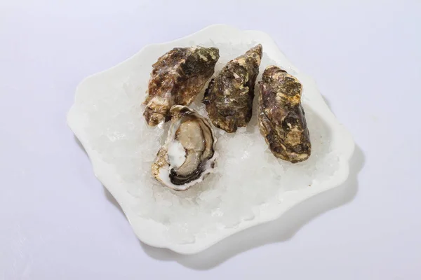 Verse Oesters Zeevruchten Ijs — Stockfoto