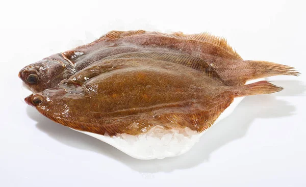Χειμάρα Ψάρια Φρέσκα Πάγο — Φωτογραφία Αρχείου