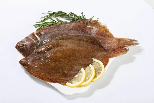 Peixe Solha Fresco Gelo — Fotografia de Stock