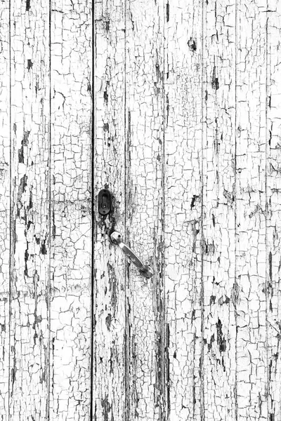 부서진된 오래 된 나무 — 스톡 사진