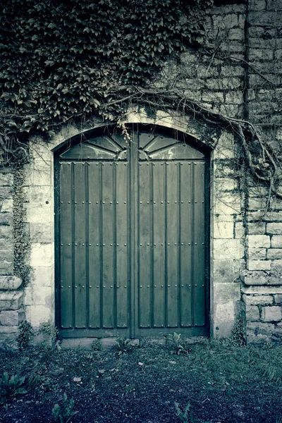 Puerta de madera abandonada vieja —  Fotos de Stock