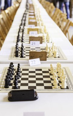 Satrançta şampiyonlukları