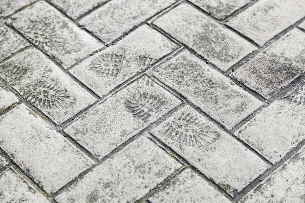 Footprint on cement — Stock Photo, Image