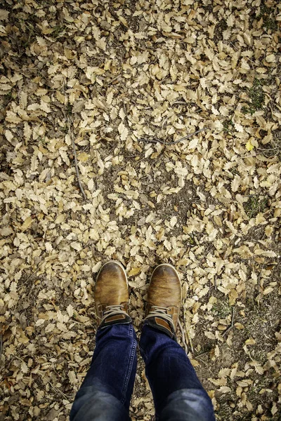 Pieds dans les feuilles tombées — Photo