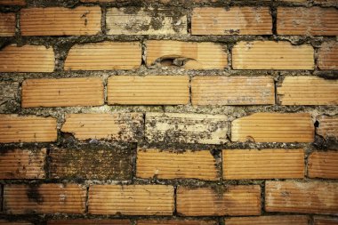 Çamur tuğla duvar, terk edilmiş eski duvar.