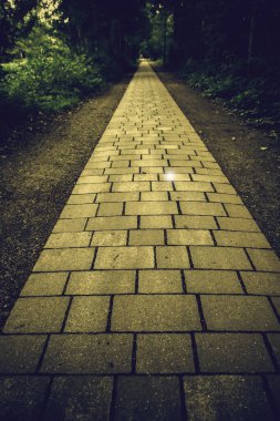 Ormanda Arnavut kaldırımlı yol, yaya yürüyüşü detayı, ormanda doğa