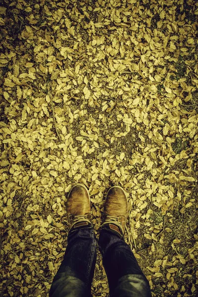 Pieds Dans Les Feuilles Tombées Détail Saison Automne Froid — Photo