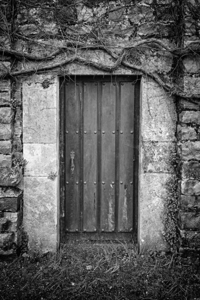 Stare Wiejskie Drzwi Detal Drzwi Pozostawiających Ruiny Spustoszenie Roślinność — Zdjęcie stockowe