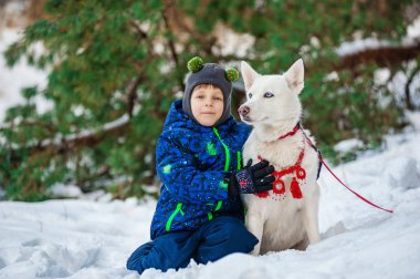 Çocuk ve kış ormanda husky yürüyüş