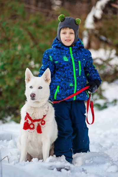 Kind und Husky spazieren im Winterwald — Stockfoto