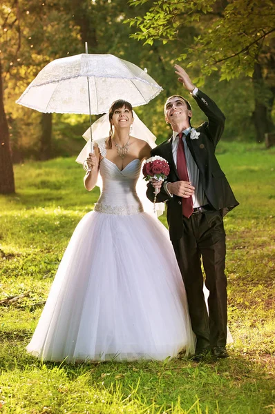 Recém-casados no parque com um guarda-chuva — Fotografia de Stock