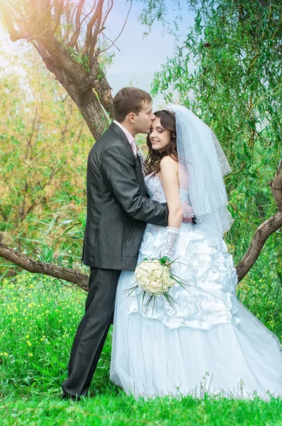 Walking newlyweds in nature — Stock Photo, Image