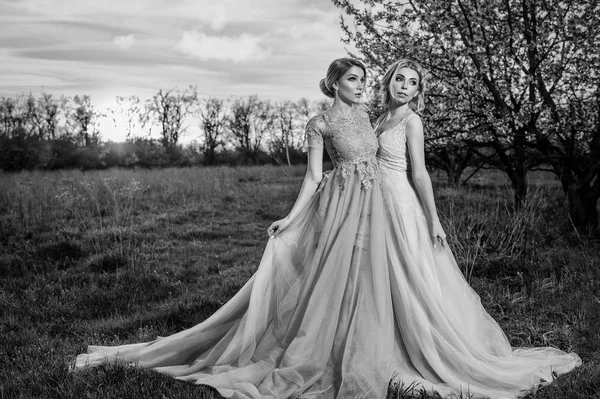 Дві дівчини в довгих сукнях позує в саду квітучих дерев (чорно-білих ) — стокове фото