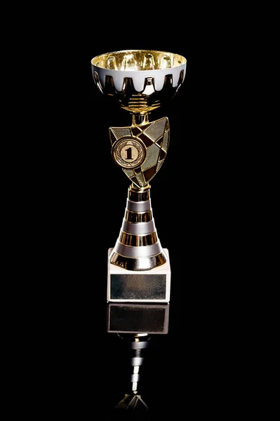 Premio Copa Por Primer Lugar Oro Felino Victoria Perro Competiciones —  Fotos de Stock