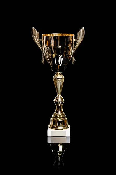 Premio Copa Por Primer Lugar Oro Felino Victoria Perro Competiciones —  Fotos de Stock