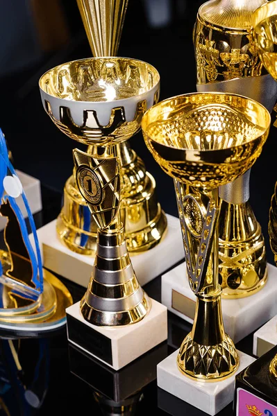 Muchos Premios Copas Medallas Diplomas Fondo Negro Recompensas Competencia Felina —  Fotos de Stock