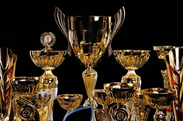 Many awards, cups, medals, diplomas on a black background. Feline Competition Rewards