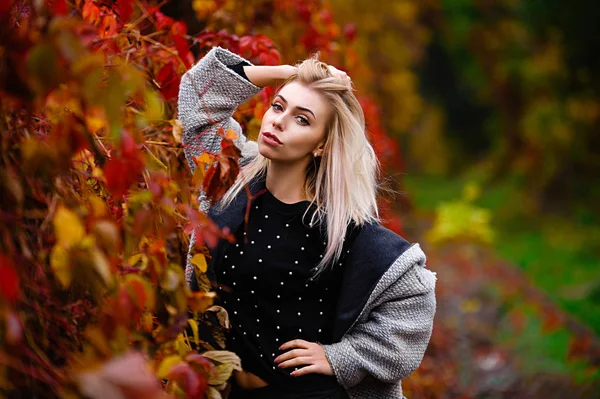 Ormanda sonbaharda sarı ve kırmızı yapraklarla poz veren çekici sarışın.