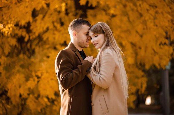 オークの森の秋の公園を歩く美しいカップルを愛しています 秋の森の中の写真 葉の秋 黄色の葉 — ストック写真