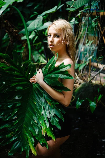 Urocza Blondynka Obcisłej Sukience Pozująca Ogrodzie Botanicznym Roślinami — Zdjęcie stockowe
