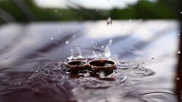 Золоті Обручки Воді Вода Бризкає Кільці Краплі Води Падають Перстені — стокове відео