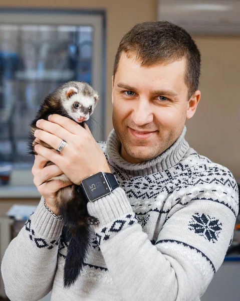 Veterinären Undersöker Iller Klinik Förebyggande Åtgärder Veterinärkliniken För Sällskapsdjur — Stockfoto