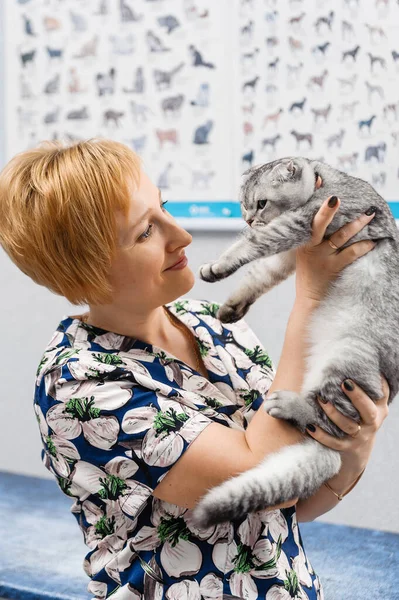 好兽医把猫抱在怀里 兽医诊所对猫只进行预防检查 — 图库照片