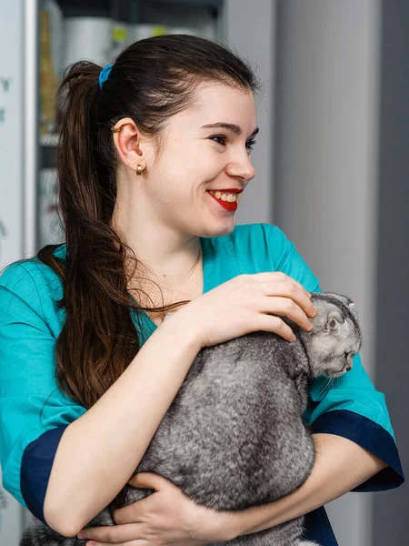 Ein Guter Tierarzt Hält Eine Katze Arm Vorsorgeuntersuchung Einer Katze — Stockfoto