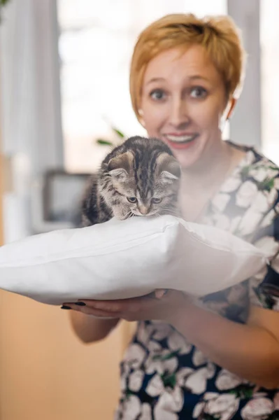 Καλός Κτηνίατρος Κρατάει Μια Γάτα Στην Αγκαλιά Του Προληπτική Εξέταση — Φωτογραφία Αρχείου