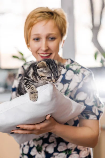 好兽医把猫抱在怀里 兽医诊所对猫只进行预防检查 — 图库照片