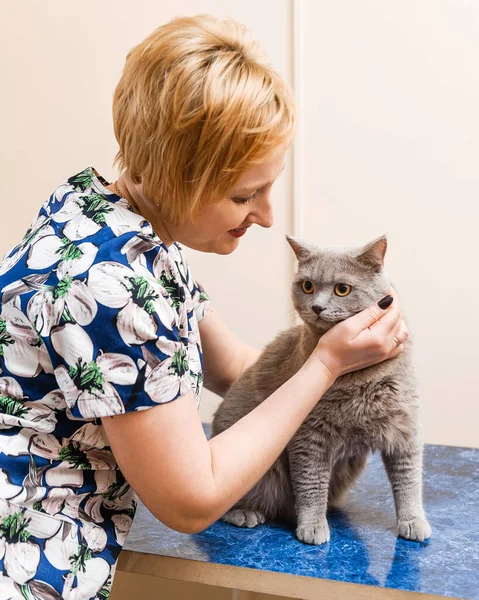 いい獣医師は彼の腕に猫を抱えている 獣医診療所での猫の予防検査 — ストック写真