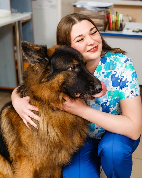 Good vet hugs a dog. Examination of a dog in veterinary medicine