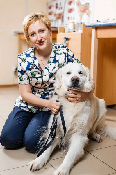 Dobry Weterynarz Przytula Psa Badanie Psa Weterynarii — Zdjęcie stockowe