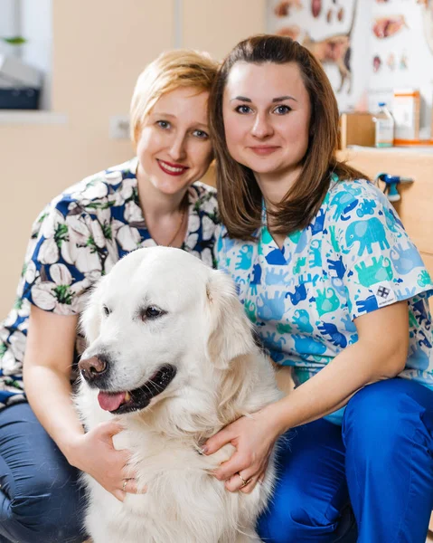 Dobrý Veterinář Objímá Psa Vyšetření Psa Veterinární Medicíně — Stock fotografie