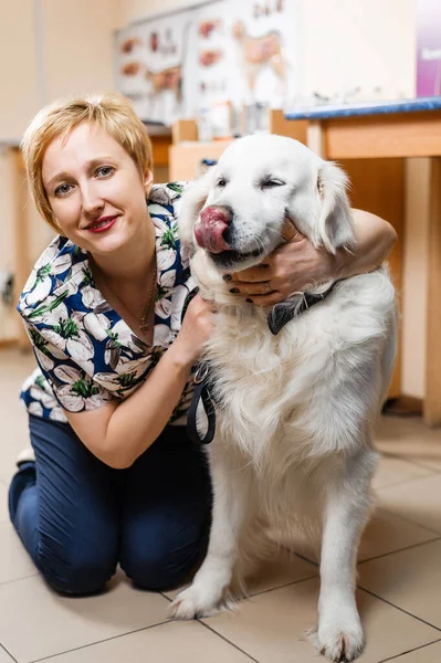 Dobrý Veterinář Objímá Psa Vyšetření Psa Veterinární Medicíně — Stock fotografie