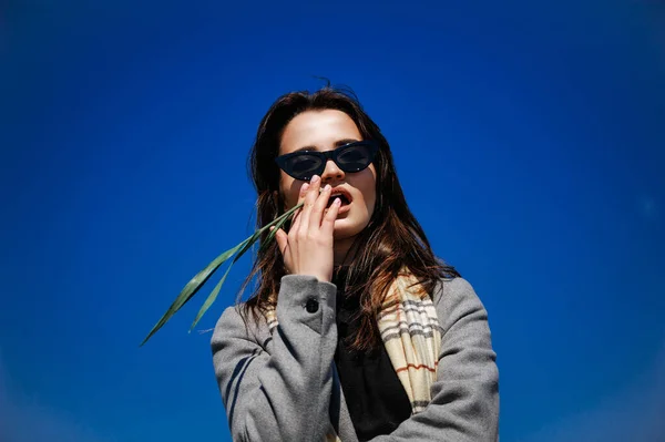 Chica Joven Atractiva Moda Posando Camino Retrato Contra Cielo Azul —  Fotos de Stock