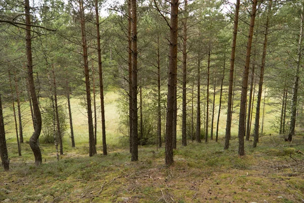 Paysage au lac Vaettern en Suède — Photo