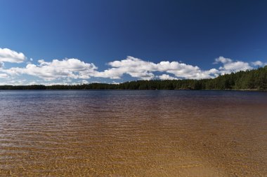 Tiveden Milli Parkı