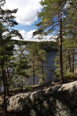 Tiveden Milli Parkı