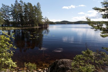 Tiveden Milli Parkı