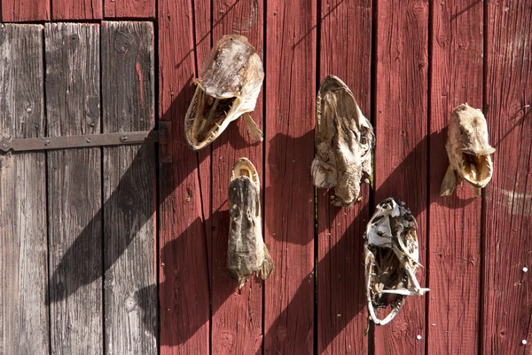 Fishing Port Lake Vaettern Sweden — Stock Photo, Image