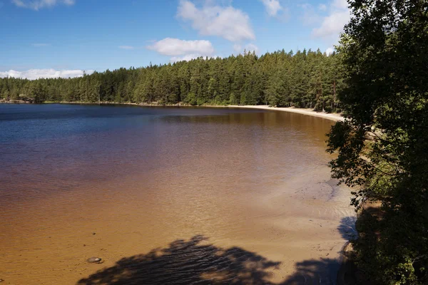 Tiveden Nemzeti Park — Stock Fotó