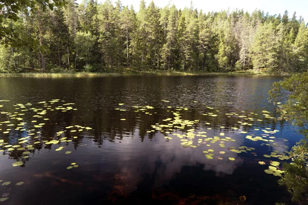 Tiveden 국립 공원 — 스톡 사진