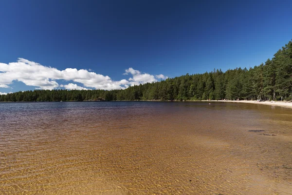 En el Parque Nacional de Tiveden — Foto de Stock