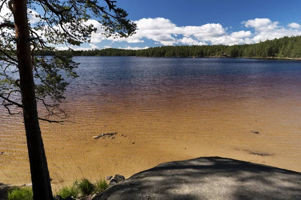 Dans Parc National Tiveden — Photo