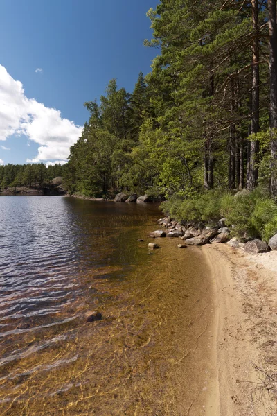 In the Tiveden National Park — Stock Photo, Image