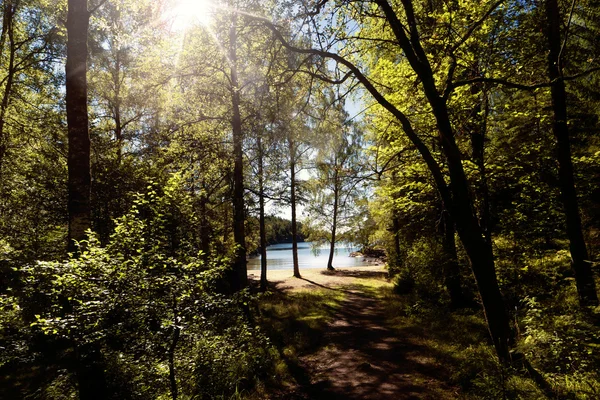 スウェーデンの湖 Vaenern — ストック写真